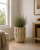 ChatGPT Image 15 cze 2026, 12_16_58.png