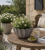 ChatGPT Image 15 cze 2026, 13_38_20.png