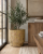 ChatGPT Image 19 cze 2026, 09_17_33.png