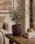 ChatGPT Image 19 cze 2026, 09_25_28.png