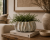ChatGPT Image 19 cze 2026, 09_30_35.png
