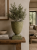 ChatGPT Image 19 cze 2026, 09_32_19.png