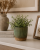 ChatGPT Image 19 cze 2026, 09_39_00.png