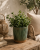 ChatGPT Image 19 cze 2026, 09_46_40.png