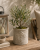 ChatGPT Image 19 cze 2026, 09_47_40.png