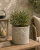 ChatGPT Image 19 cze 2026, 09_49_28.png
