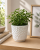 ChatGPT Image 19 cze 2026, 09_56_22.png