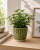 ChatGPT Image 19 cze 2026, 10_00_13.png