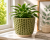 ChatGPT Image 19 cze 2026, 10_12_10.png
