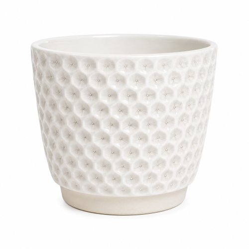 ChatGPT Image 19 cze 2026, 10_17_35.png