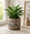 ChatGPT Image 19 cze 2026, 10_23_46.png