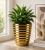 ChatGPT Image 19 cze 2026, 10_28_06.png