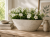 ChatGPT Image 19 cze 2026, 10_34_27.png