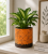 ChatGPT Image 19 cze 2026, 10_54_00.png