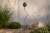 ChatGPT Image 22 cze 2026, 11_27_05.png