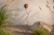 ChatGPT Image 22 cze 2026, 11_30_21.png