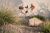 ChatGPT Image 22 cze 2026, 11_39_28.png