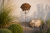 ChatGPT Image 22 cze 2026, 11_57_10.png