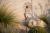 ChatGPT Image 22 cze 2026, 12_01_55.png