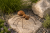 ChatGPT Image 22 cze 2026, 12_07_59.png