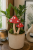 ChatGPT Image 6 lip 2026, 09_57_19.png