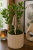 ChatGPT Image 6 lip 2026, 10_25_56.png