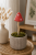 ChatGPT Image 6 lip 2026, 10_28_54.png