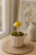ChatGPT Image 6 lip 2026, 10_29_41.png