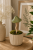 ChatGPT Image 6 lip 2026, 10_32_46.png