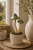 ChatGPT Image 6 lip 2026, 10_40_26.png