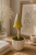 ChatGPT Image 6 lip 2026, 10_44_17.png