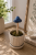 ChatGPT Image 6 lip 2026, 11_46_16.png
