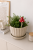 ChatGPT Image 6 lip 2026, 11_56_54.png