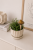 ChatGPT Image 6 lip 2026, 11_57_41.png