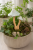 ChatGPT Image 6 lip 2026, 13_08_49.png
