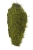 263CANYY56-1_01.jpg