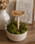 ChatGPT Image 7 lip 2026, 10_06_53.png