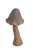 60CANMT0010.jpg