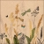 13317471_8b08.webp