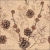 13317836_b834.webp