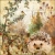 13314450_7351.webp