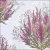 13315690_d68d.webp
