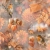 13313695_a9b5.webp