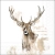 13317875_df8f.webp