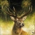 13312340_c4ec.webp