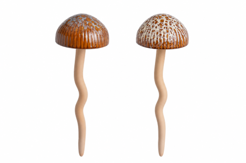 image0 (1).png
