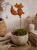 ChatGPT Image 15 lip 2026, 08_27_08.png