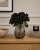 ChatGPT Image 15 lip 2026, 08_46_20.png