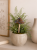 ChatGPT Image 15 lip 2026, 10_02_15.png