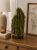 ChatGPT Image 15 lip 2026, 10_03_07.png